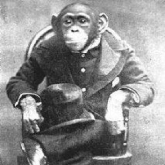 chimpanzeethat